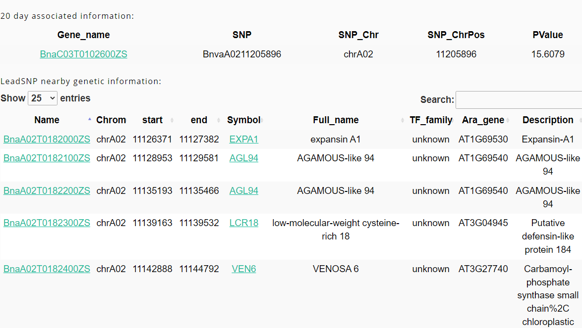 Bn Eqtl Database